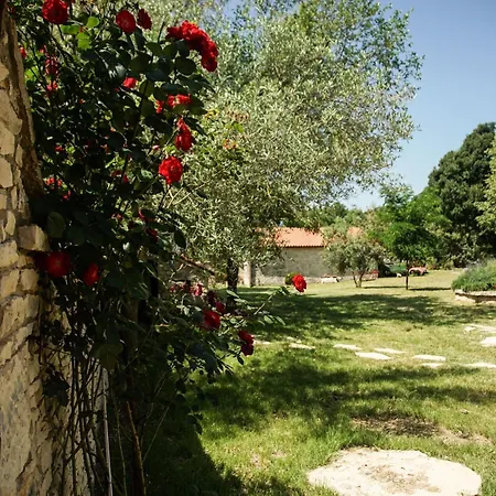Hébergement de vacances Tranquil Getaway With Shared Pool In - One Bedroom *